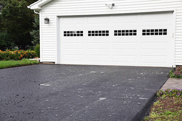 Best Yard Waste Removal  in Plainwell, MI