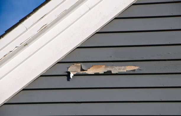 Best Construction Debris Removal  in Plainwell, MI