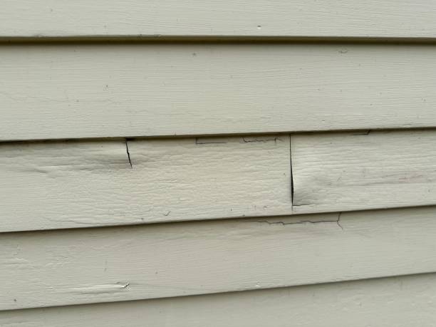 Best Yard Waste Removal  in Plainwell, MI
