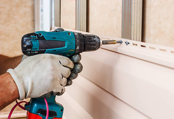 Best Shed Removal  in Plainwell, MI